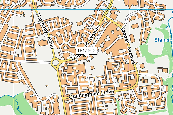 TS17 9JG map - OS VectorMap District (Ordnance Survey)