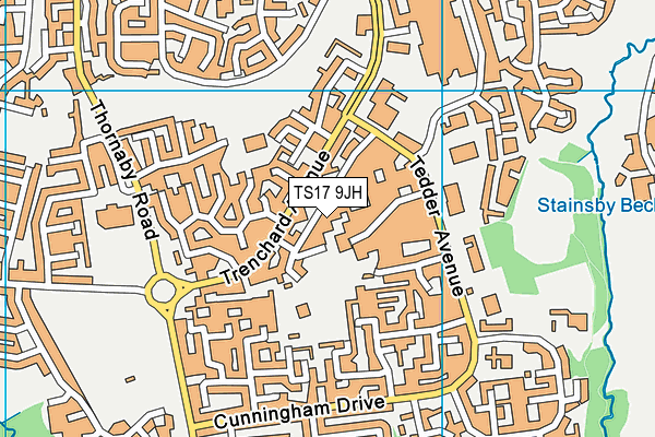 TS17 9JH map - OS VectorMap District (Ordnance Survey)
