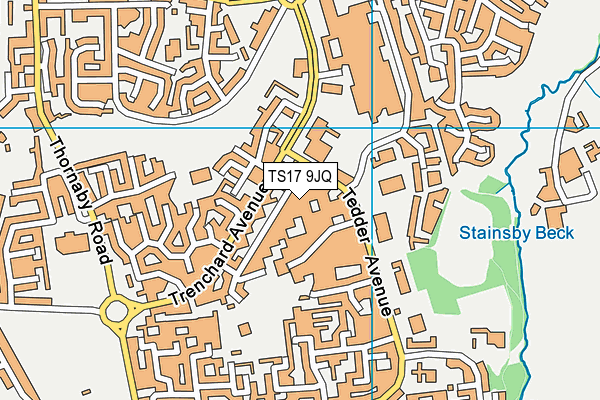 TS17 9JQ map - OS VectorMap District (Ordnance Survey)