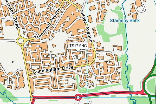 TS17 9NG map - OS VectorMap District (Ordnance Survey)