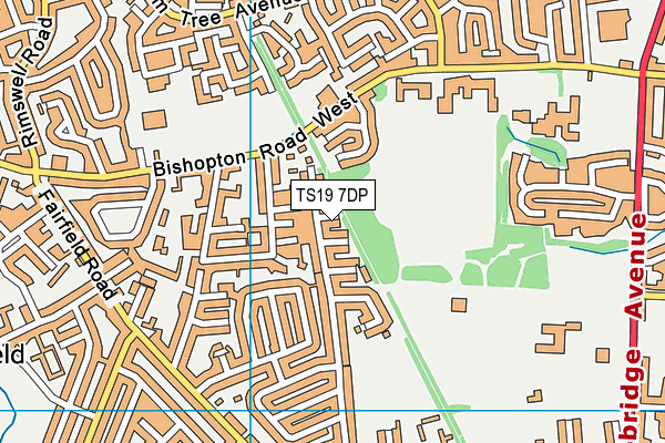 TS19 7DP map - OS VectorMap District (Ordnance Survey)