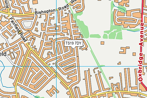 TS19 7DY map - OS VectorMap District (Ordnance Survey)