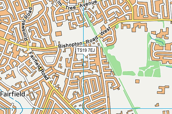 TS19 7EJ map - OS VectorMap District (Ordnance Survey)