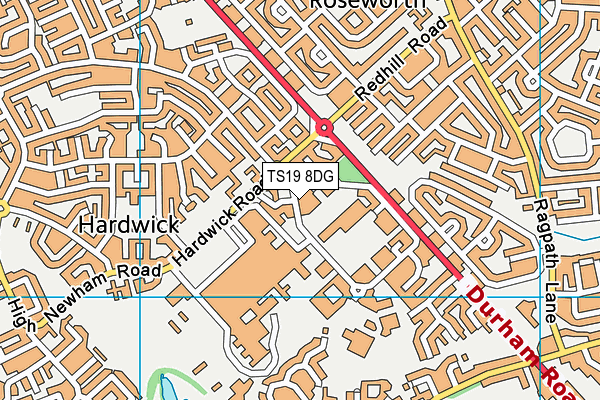 TS19 8DG map - OS VectorMap District (Ordnance Survey)