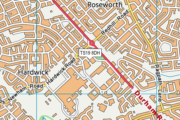 TS19 8DH map - OS VectorMap District (Ordnance Survey)