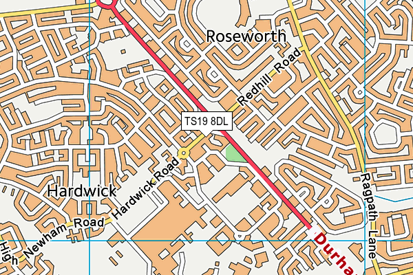 TS19 8DL map - OS VectorMap District (Ordnance Survey)