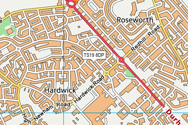 TS19 8DP map - OS VectorMap District (Ordnance Survey)