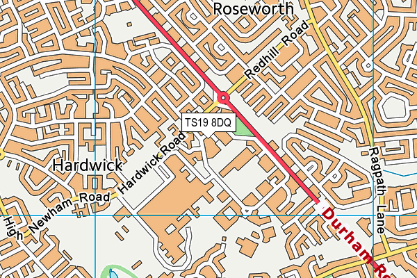 TS19 8DQ map - OS VectorMap District (Ordnance Survey)