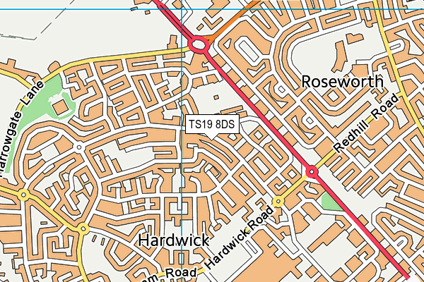 TS19 8DS map - OS VectorMap District (Ordnance Survey)