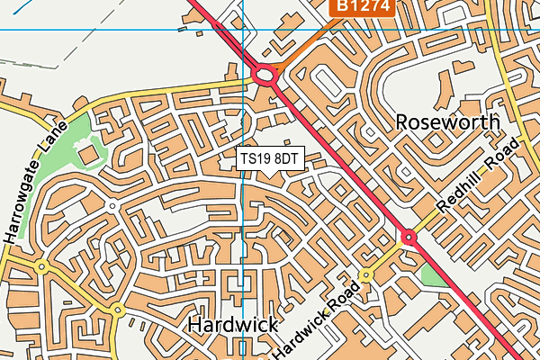 TS19 8DT map - OS VectorMap District (Ordnance Survey)