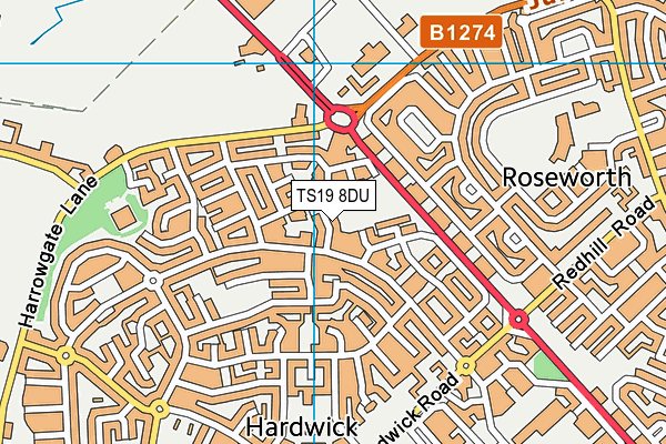 TS19 8DU map - OS VectorMap District (Ordnance Survey)