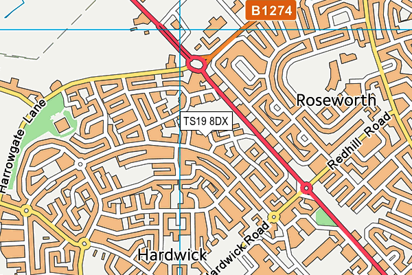 TS19 8DX map - OS VectorMap District (Ordnance Survey)