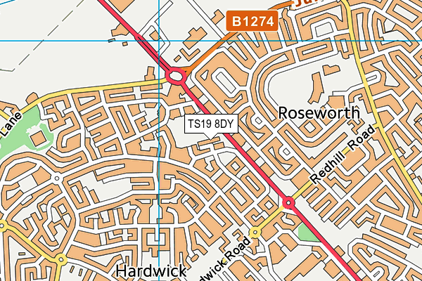 TS19 8DY map - OS VectorMap District (Ordnance Survey)