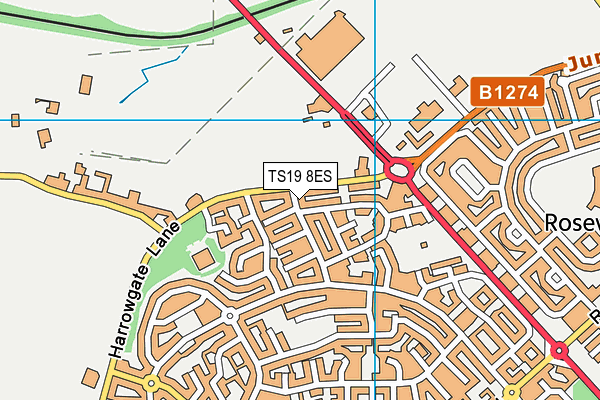 TS19 8ES map - OS VectorMap District (Ordnance Survey)