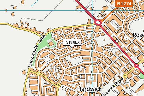 TS19 8EX map - OS VectorMap District (Ordnance Survey)