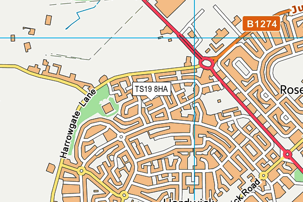 TS19 8HA map - OS VectorMap District (Ordnance Survey)