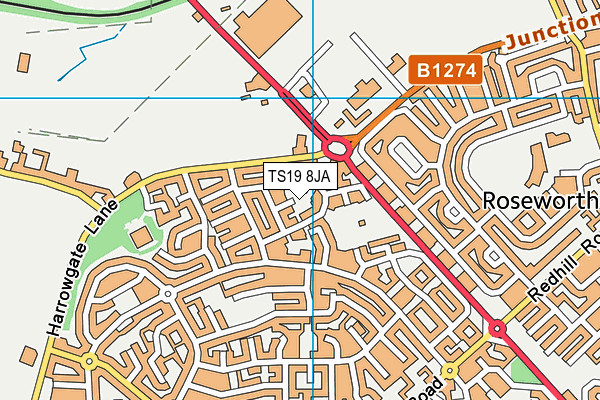 TS19 8JA map - OS VectorMap District (Ordnance Survey)