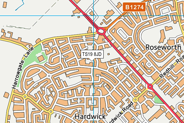 TS19 8JD map - OS VectorMap District (Ordnance Survey)