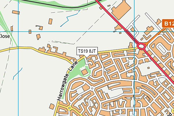 TS19 8JT map - OS VectorMap District (Ordnance Survey)
