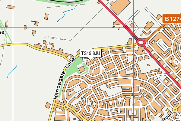 TS19 8JU map - OS VectorMap District (Ordnance Survey)