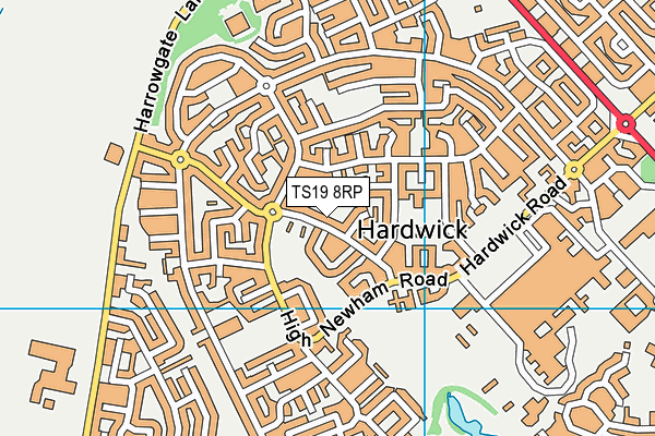 TS19 8RP map - OS VectorMap District (Ordnance Survey)