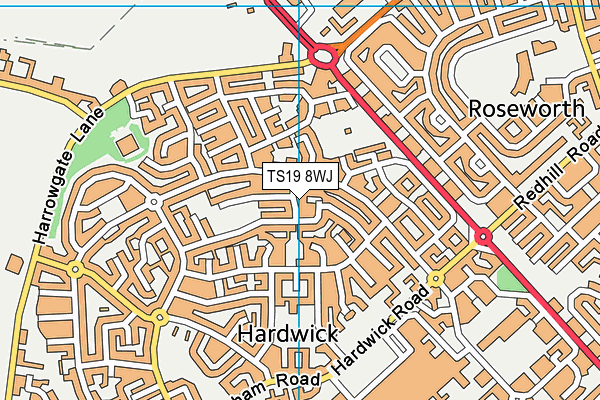TS19 8WJ map - OS VectorMap District (Ordnance Survey)