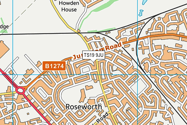 TS19 9JU map - OS VectorMap District (Ordnance Survey)