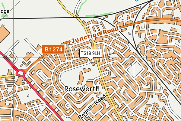 TS19 9LH map - OS VectorMap District (Ordnance Survey)