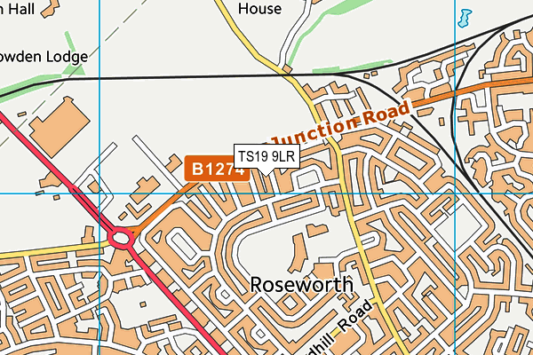 TS19 9LR map - OS VectorMap District (Ordnance Survey)