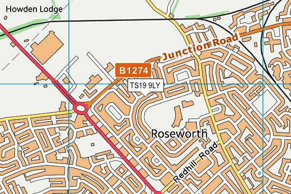 TS19 9LY map - OS VectorMap District (Ordnance Survey)