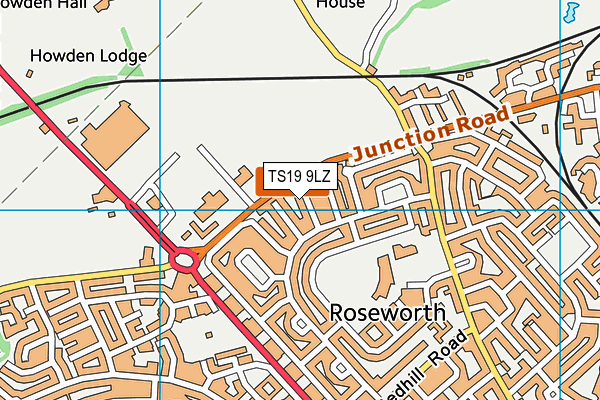 TS19 9LZ map - OS VectorMap District (Ordnance Survey)