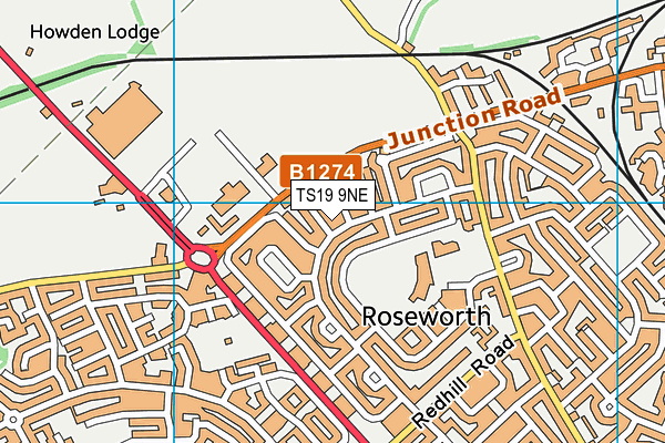 TS19 9NE map - OS VectorMap District (Ordnance Survey)