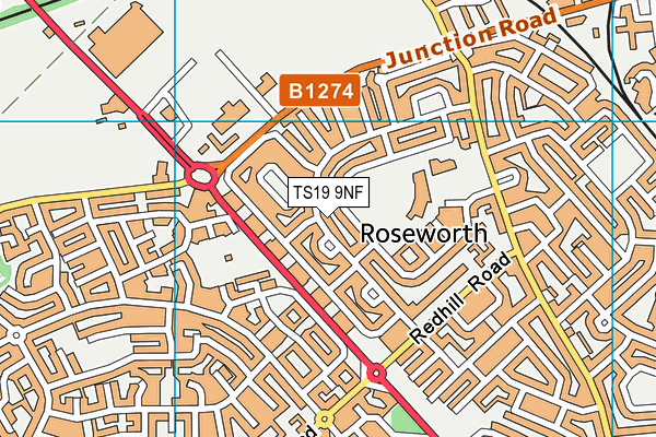 TS19 9NF map - OS VectorMap District (Ordnance Survey)