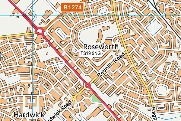 TS19 9NG map - OS VectorMap District (Ordnance Survey)