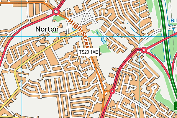 TS20 1AE map - OS VectorMap District (Ordnance Survey)