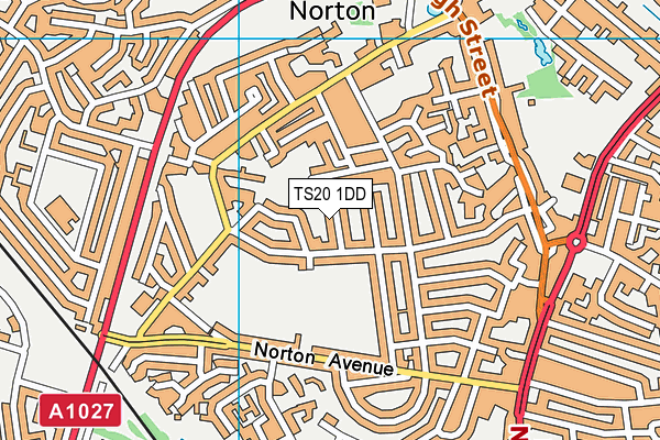 TS20 1DD map - OS VectorMap District (Ordnance Survey)