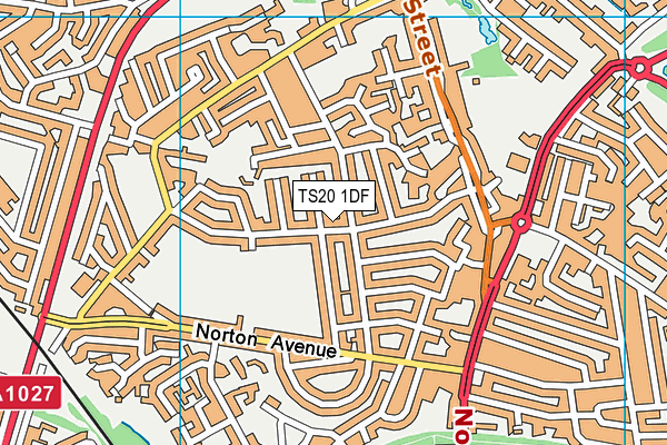 TS20 1DF map - OS VectorMap District (Ordnance Survey)