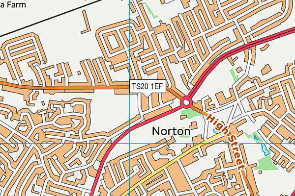TS20 1EF map - OS VectorMap District (Ordnance Survey)