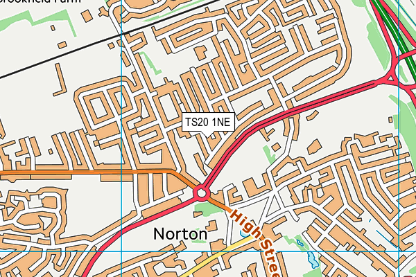 TS20 1NE map - OS VectorMap District (Ordnance Survey)