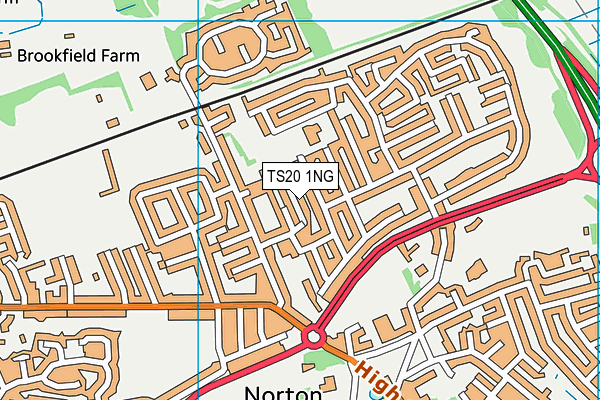 TS20 1NG map - OS VectorMap District (Ordnance Survey)