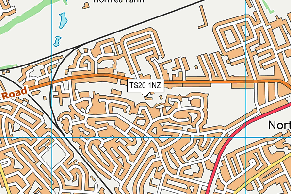 TS20 1NZ map - OS VectorMap District (Ordnance Survey)