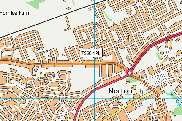 TS20 1PL map - OS VectorMap District (Ordnance Survey)