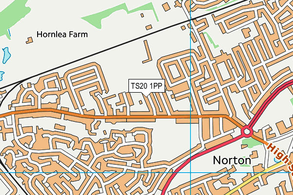 TS20 1PP map - OS VectorMap District (Ordnance Survey)
