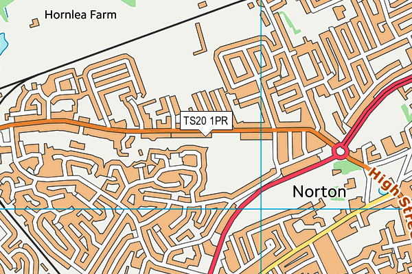 TS20 1PR map - OS VectorMap District (Ordnance Survey)