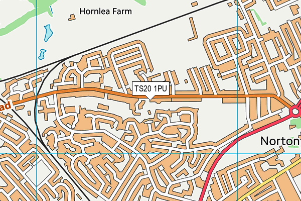 TS20 1PU map - OS VectorMap District (Ordnance Survey)