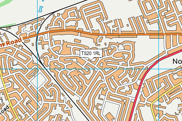 TS20 1RL map - OS VectorMap District (Ordnance Survey)