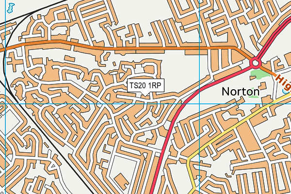 TS20 1RP map - OS VectorMap District (Ordnance Survey)