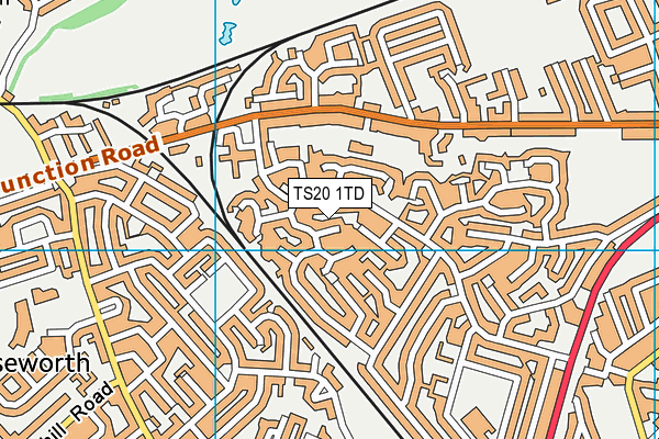 TS20 1TD map - OS VectorMap District (Ordnance Survey)