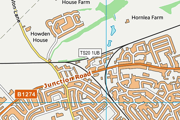 TS20 1UB map - OS VectorMap District (Ordnance Survey)