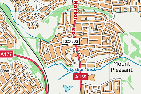 TS20 2DS map - OS VectorMap District (Ordnance Survey)